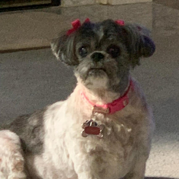 Meet your Posher, Melanie - Picture 1 of 1